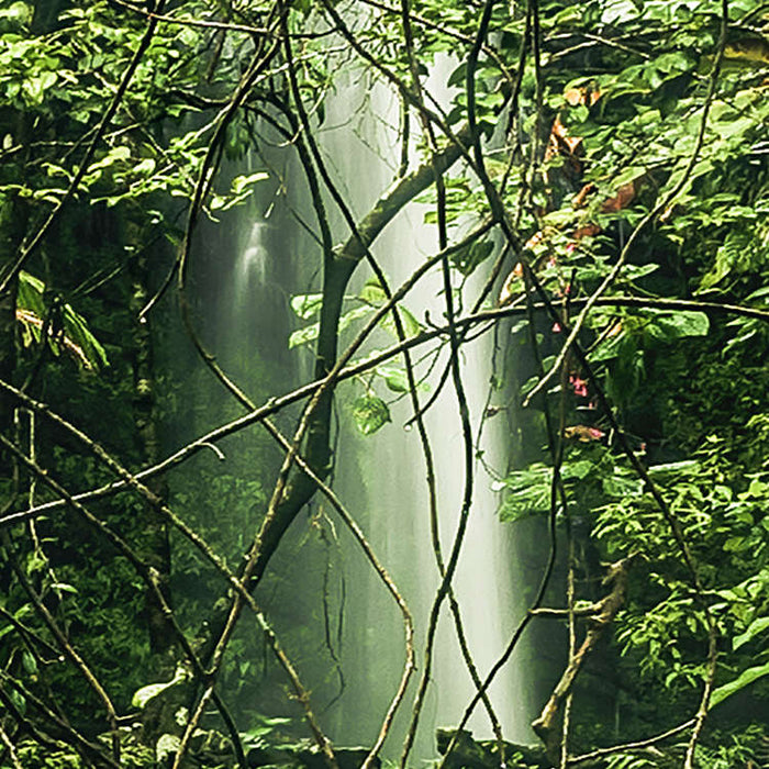 Digitaldruck Vlies Fototapete | My Hidden Treasure | 400 x 250 cm
