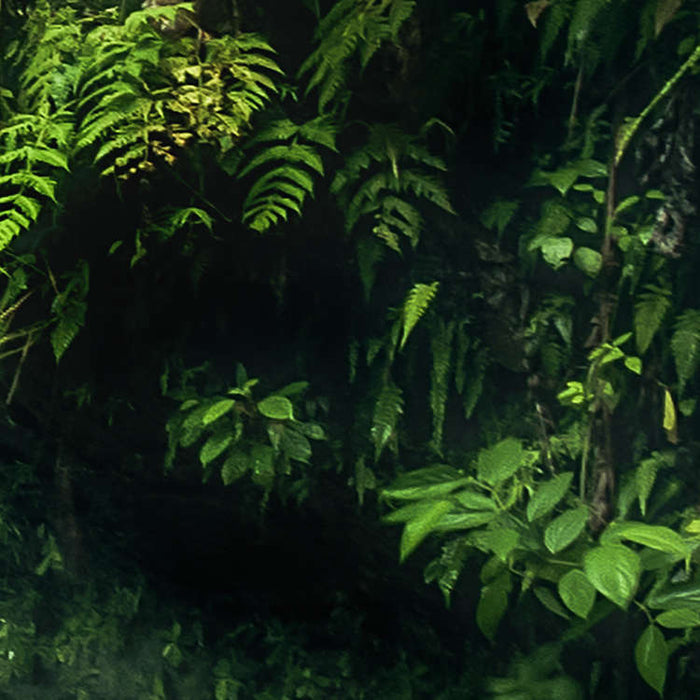 Digitaldruck Vlies Fototapete | My Hidden Treasure | 400 x 250 cm
