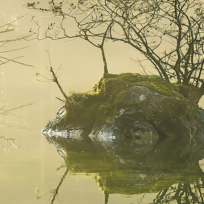 Digitaldruck Vlies Fototapete | Indulgence of Beauty | 200 x 250 cm