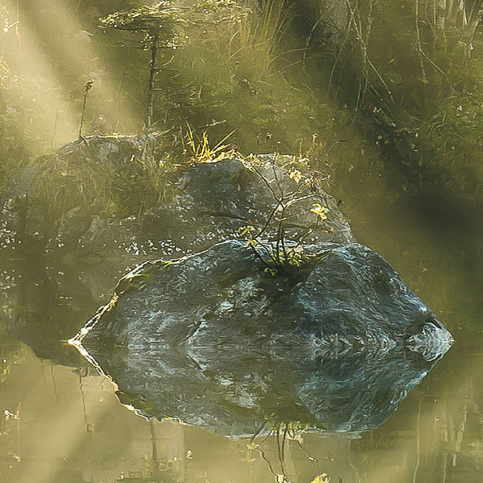 Digitaldruck Vlies Fototapete | Indulgence of Beauty | 200 x 250 cm