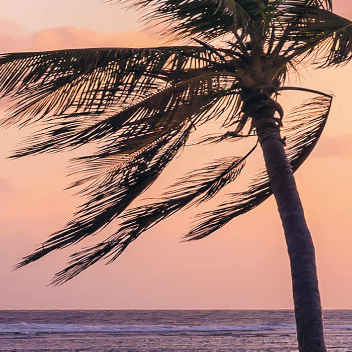 Digitaldruck Vlies Fototapete | Palmtrees on Beach | 200 x 250 cm