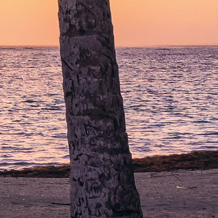 Digitaldruck Vlies Fototapete | Palmtrees on Beach | 200 x 250 cm
