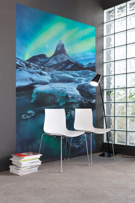 Digitaldruck Vlies Fototapete | The Coronation | 200 x 250 cm