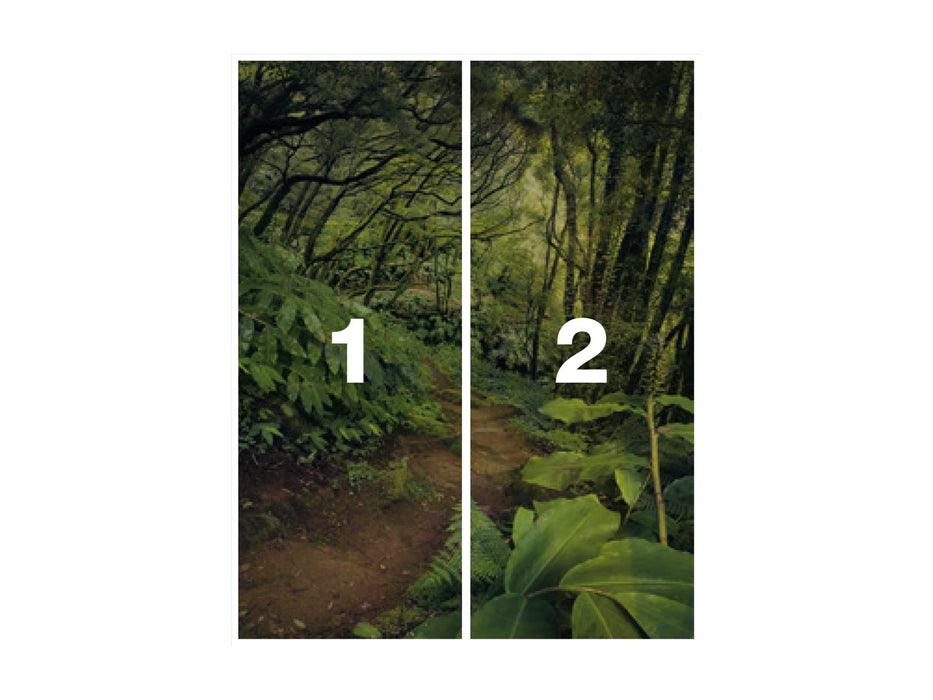 Digitaldruck Vlies Fototapete | The Path | 200 x 250 cm