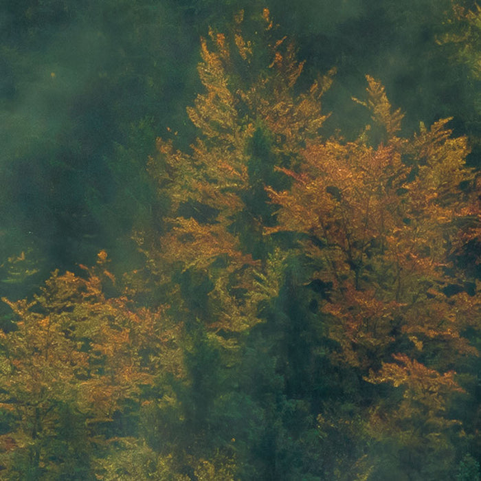 Digitaldruck Vlies Fototapete | Tales of the Carpathians | 300 x 200 cm