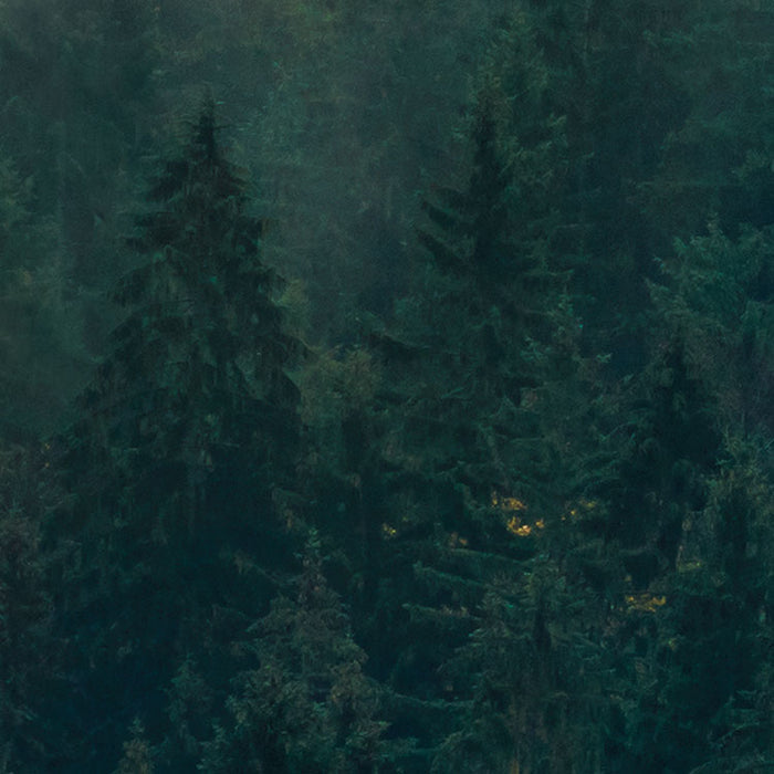 Digitaldruck Vlies Fototapete | Tales of the Carpathians | 300 x 200 cm
