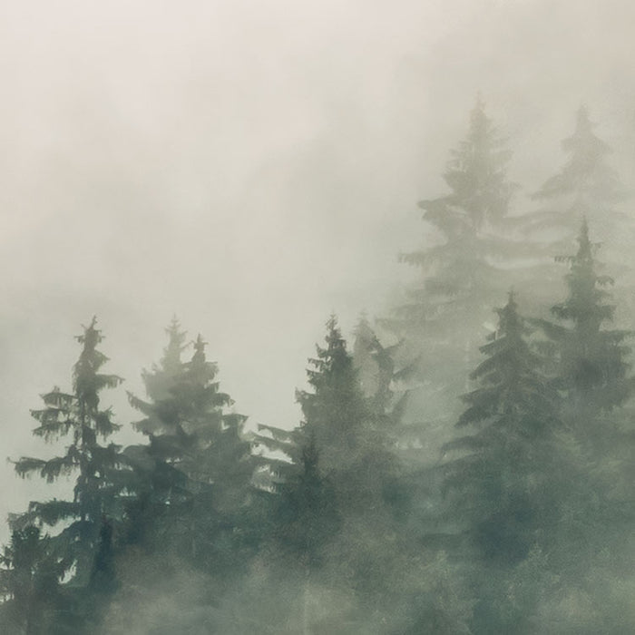 Digitaldruck Vlies Fototapete | Tales of the Carpathians | 300 x 200 cm