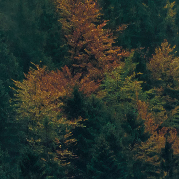 Digitaldruck Vlies Fototapete | Tales of the Carpathians | 300 x 200 cm