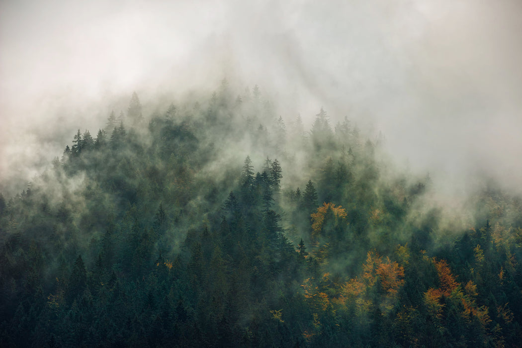 Digitaldruck Vlies Fototapete | Tales of the Carpathians | 300 x 200 cm