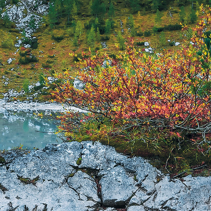 Digitaldruck Vlies Fototapete | Alpine Treasure | 400 x 250 cm