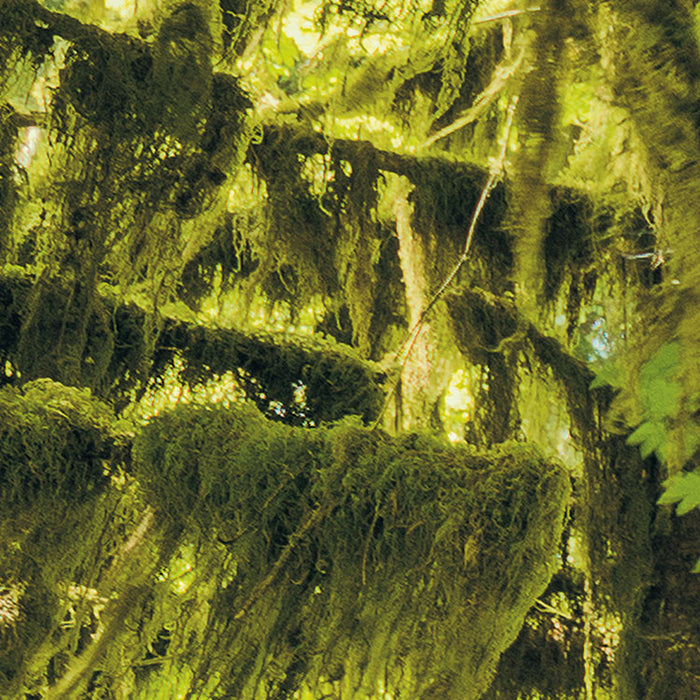 Digitaldruck Vlies Fototapete | Ancient World | 400 x 250 cm