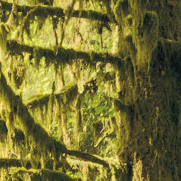 Digitaldruck Vlies Fototapete | Ancient World | 400 x 250 cm