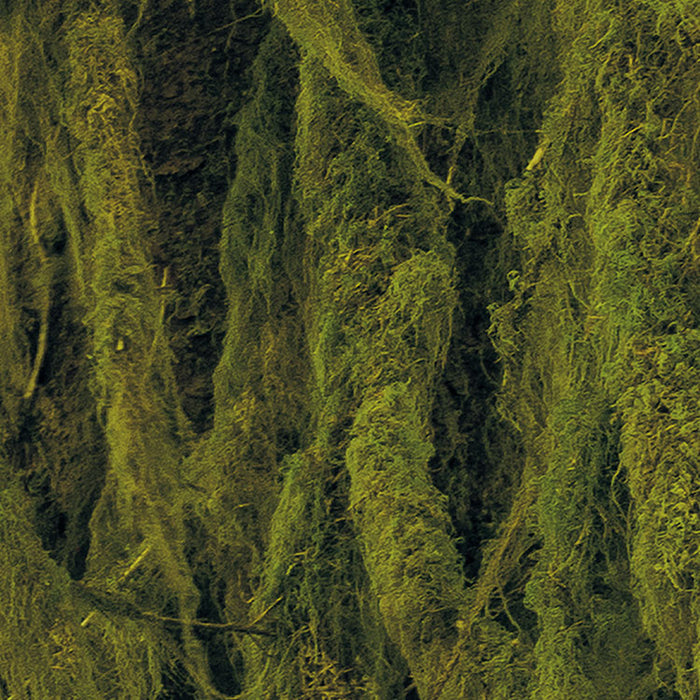 Digitaldruck Vlies Fototapete | Ancient World | 400 x 250 cm
