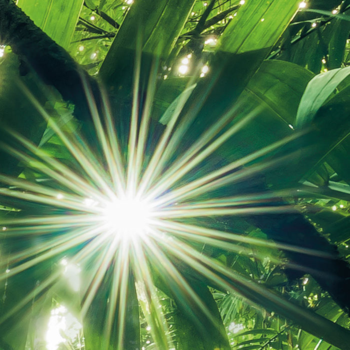 Digitaldruck Vlies Fototapete | Into The Jungle | 400 x 250 cm