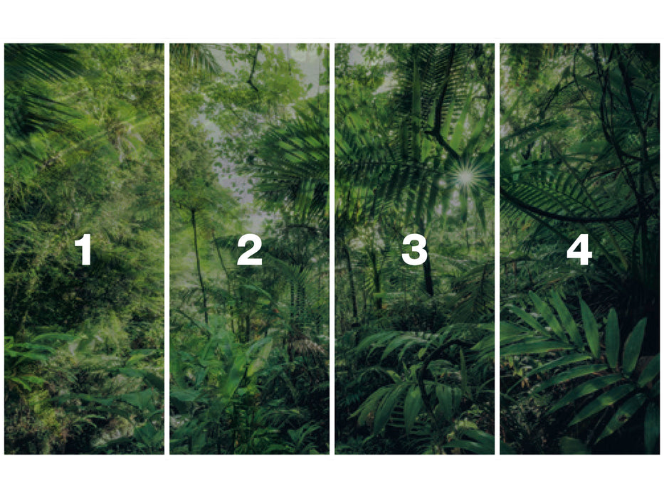 Digitaldruck Vlies Fototapete | Into The Jungle | 400 x 250 cm