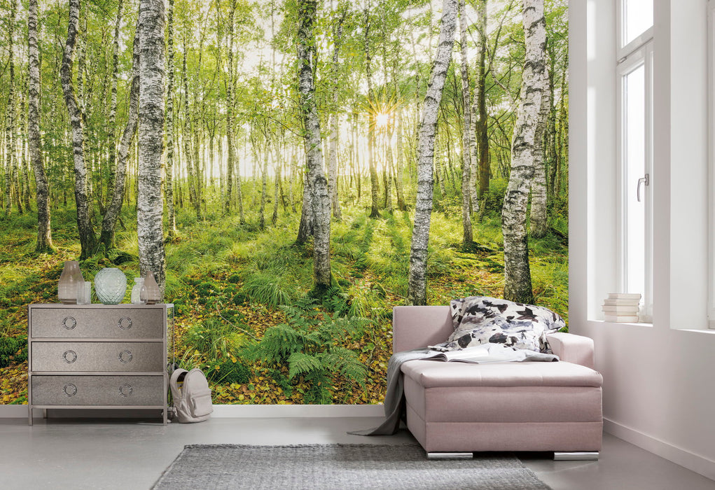 Digitaldruck Vlies Fototapete | Birch Trees | 400 x 250 cm