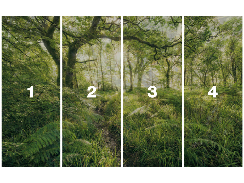 Digitaldruck Vlies Fototapete | Mystic Path | 400 x 250 cm