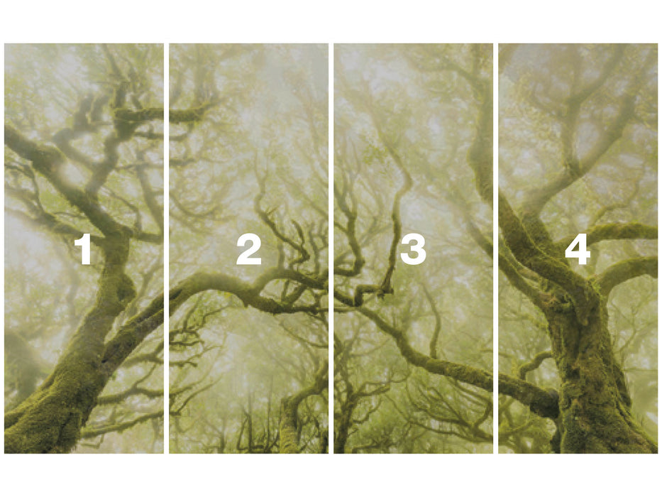 Digitaldruck Vlies Fototapete | Green Fire | 400 x 250 cm
