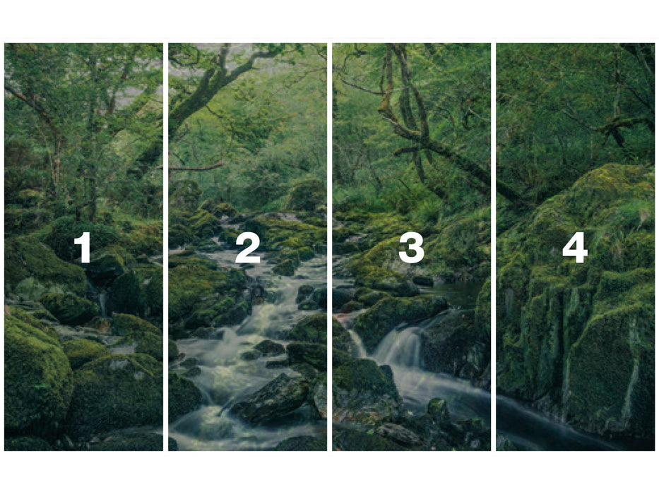 Digitaldruck Vlies Fototapete | Green Tales | 400 x 250 cm