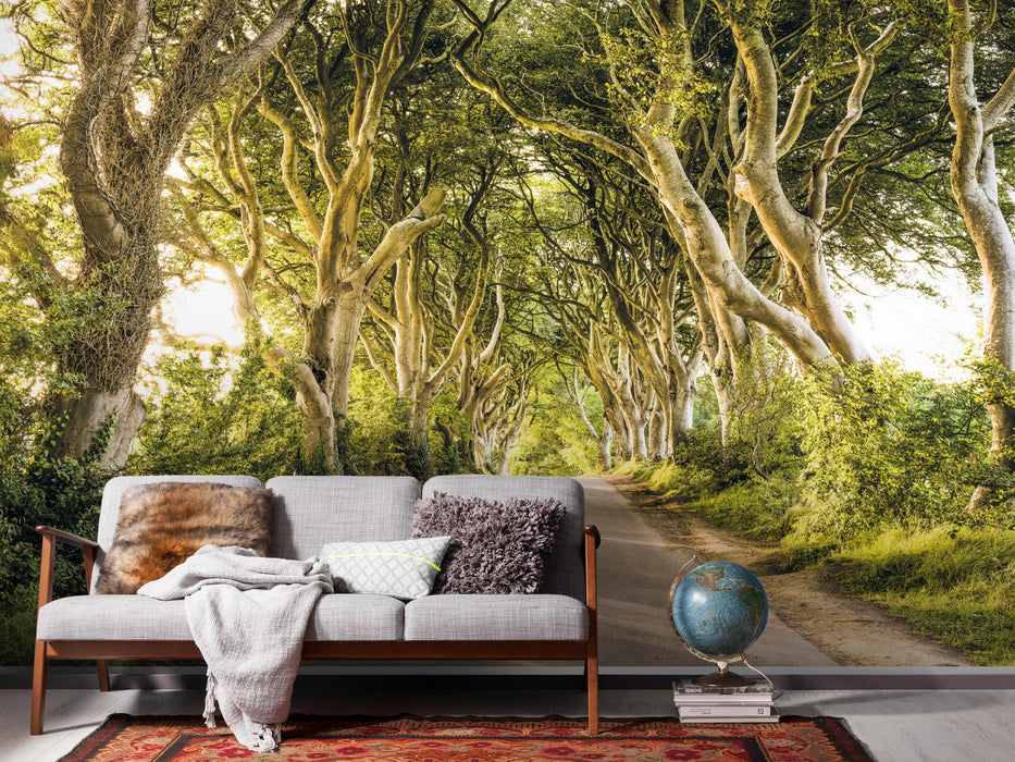 Digitaldruck Vlies Fototapete | Golden Hedges | 400 x 250 cm