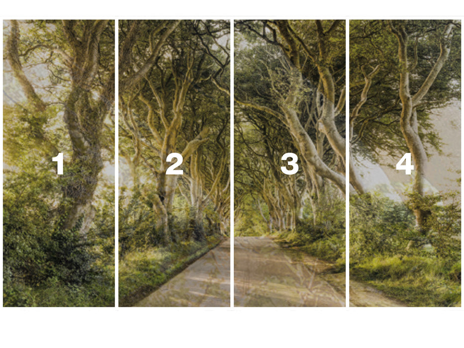 Digitaldruck Vlies Fototapete | Golden Hedges | 400 x 250 cm