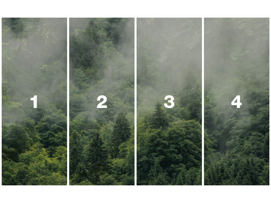 Digitaldruck Vlies Fototapete | Forest Land | 400 x 250 cm
