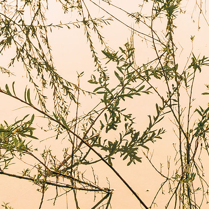 Digitaldruck Vlies Fototapete | Morning View II | 400 x 250 cm