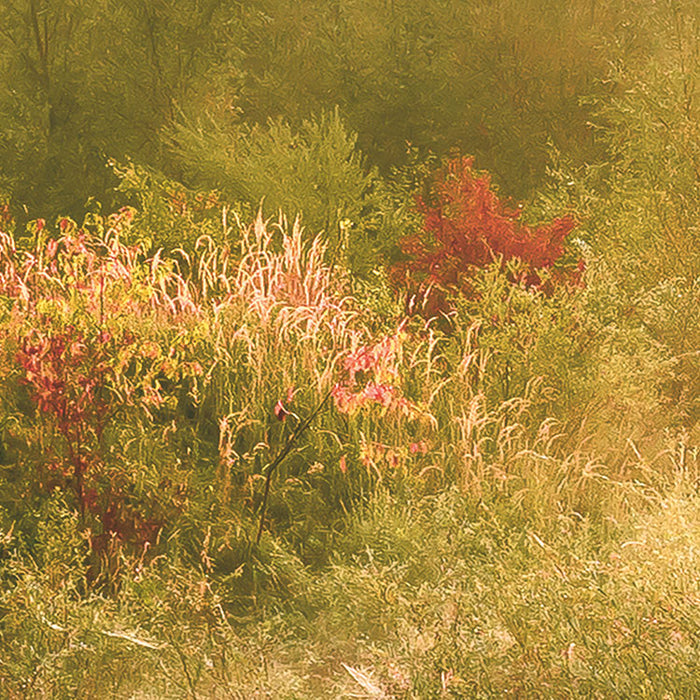 Digitaldruck Vlies Fototapete | Morning View II | 400 x 250 cm
