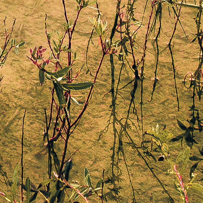 Digitaldruck Vlies Fototapete | Morning View II | 400 x 250 cm