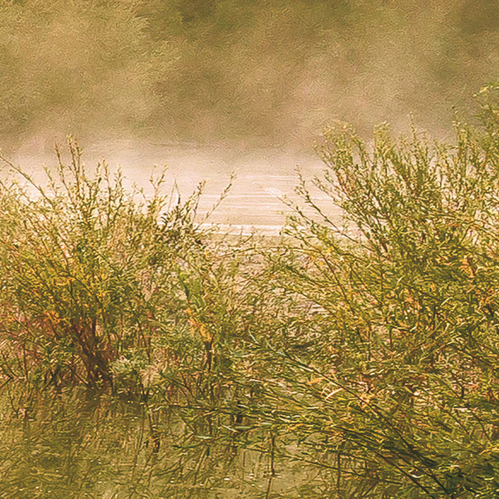 Digitaldruck Vlies Fototapete | Morning View II | 400 x 250 cm