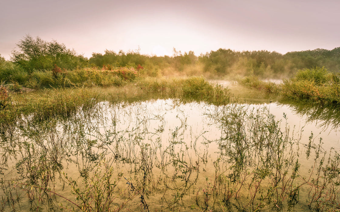 Digitaldruck Vlies Fototapete | Morning View II | 400 x 250 cm
