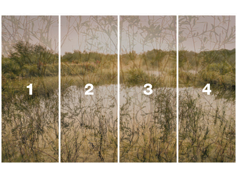 Digitaldruck Vlies Fototapete | Morning View II | 400 x 250 cm