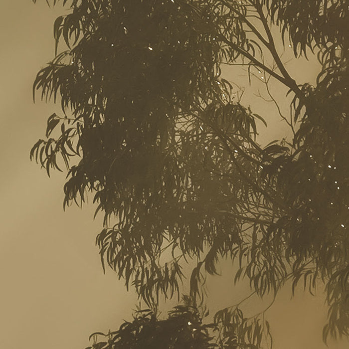 Digitaldruck Vlies Fototapete | Misty Mountain | 400 x 250 cm