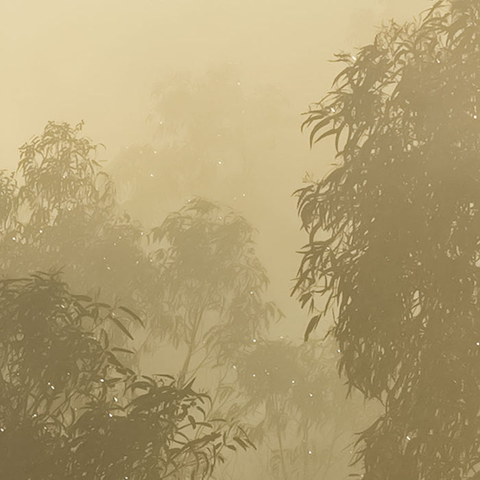 Digitaldruck Vlies Fototapete | Misty Mountain | 400 x 250 cm