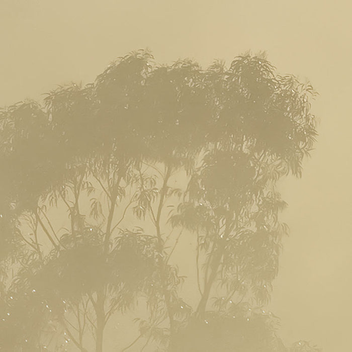 Digitaldruck Vlies Fototapete | Misty Mountain | 400 x 250 cm