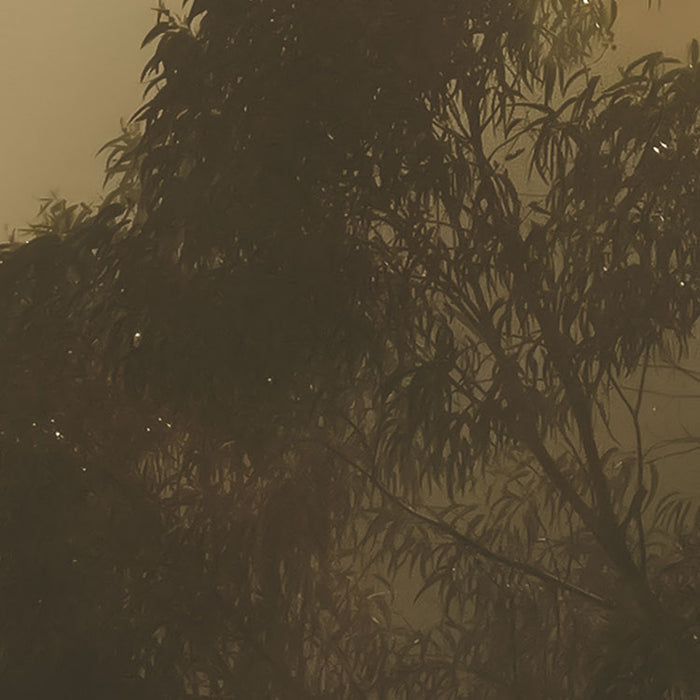 Digitaldruck Vlies Fototapete | Misty Mountain | 400 x 250 cm