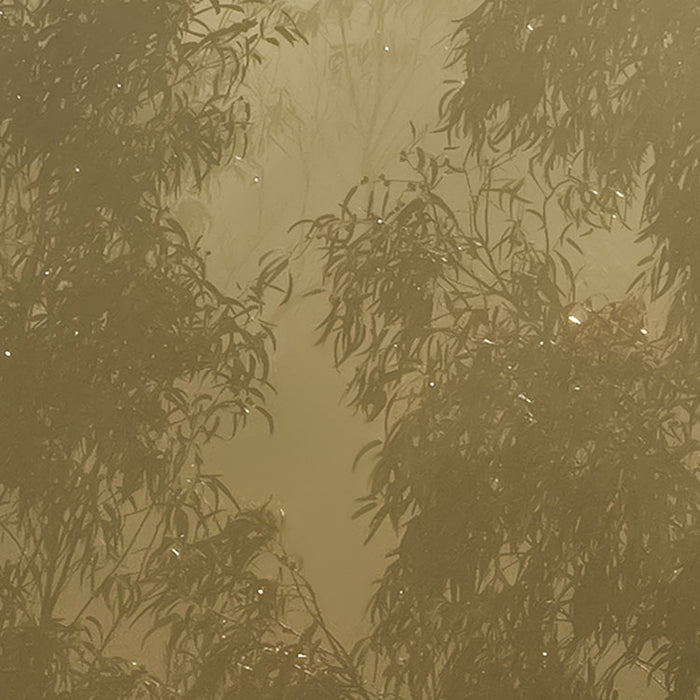 Digitaldruck Vlies Fototapete | Misty Mountain | 400 x 250 cm