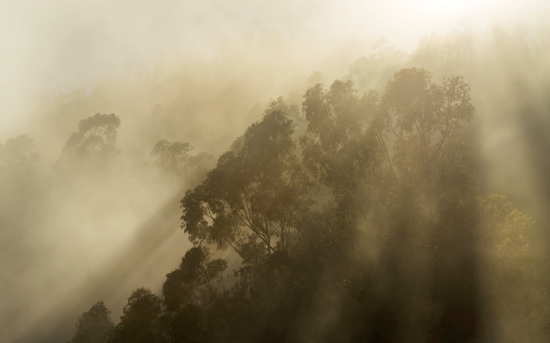 Digitaldruck Vlies Fototapete | Misty Mountain | 400 x 250 cm