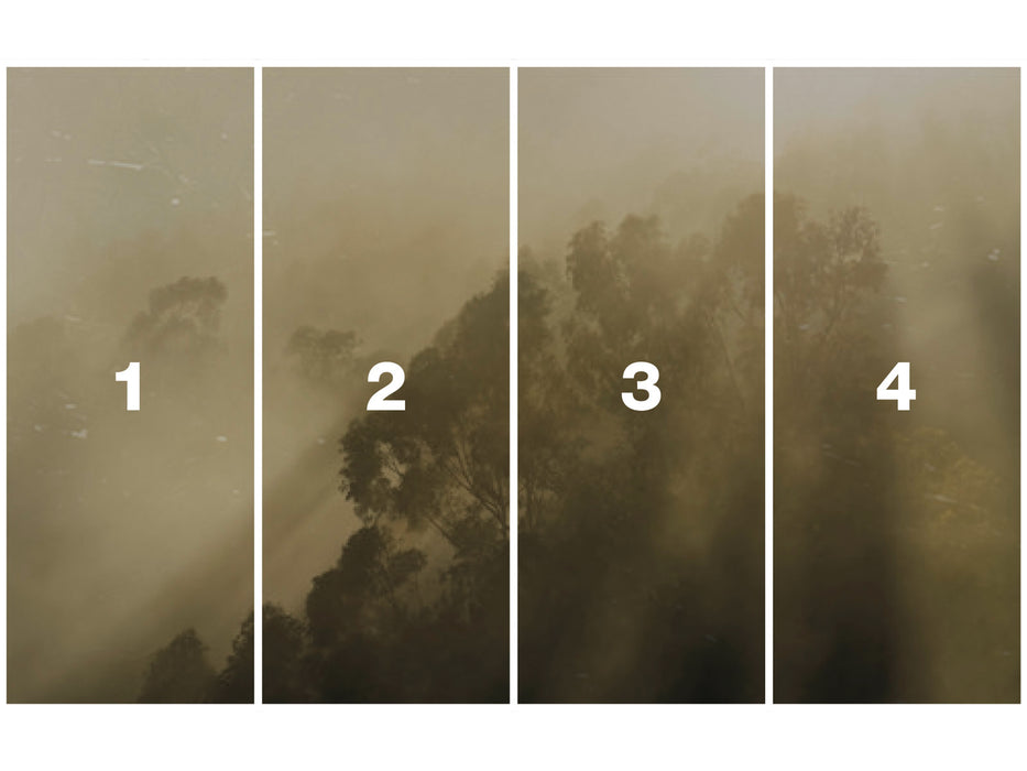Digitaldruck Vlies Fototapete | Misty Mountain | 400 x 250 cm