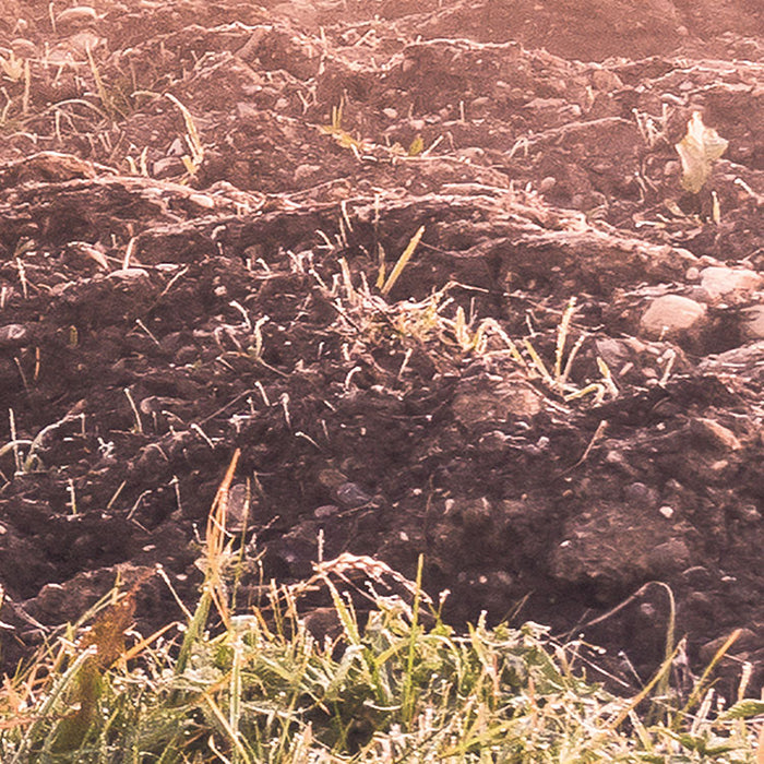 Digitaldruck Vlies Fototapete | Misty Morning | 400 x 250 cm