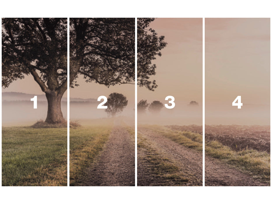 Digitaldruck Vlies Fototapete | Misty Morning | 400 x 250 cm
