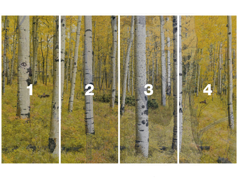 Digitaldruck Vlies Fototapete | Orange Forest | 400 x 250 cm