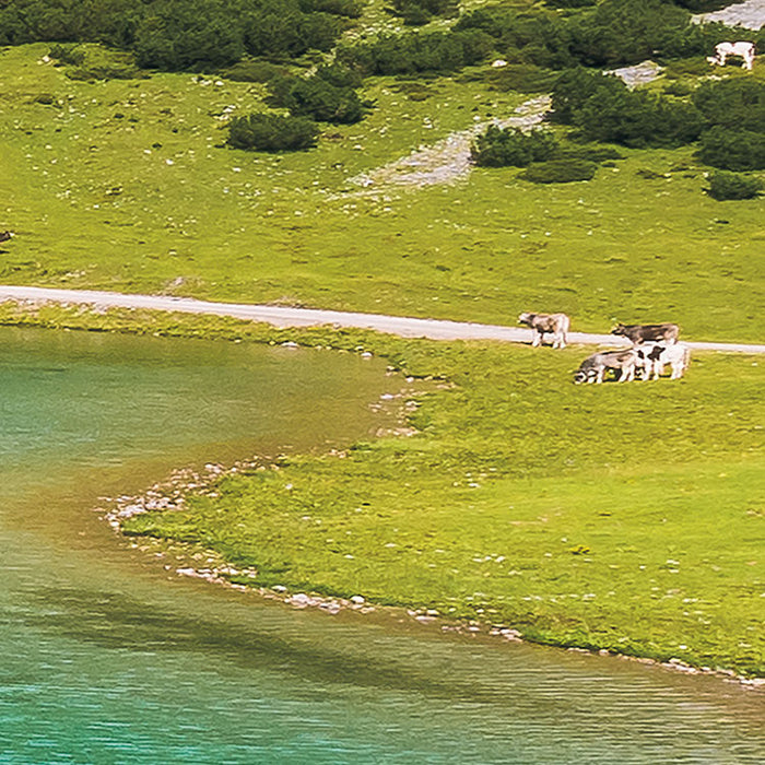 Digitaldruck Vlies Fototapete | Paradise Lake | 400 x 250 cm