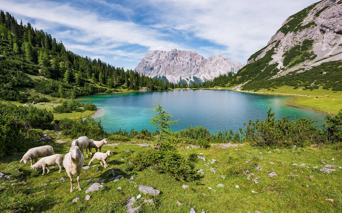 Digitaldruck Vlies Fototapete | Paradise Lake | 400 x 250 cm