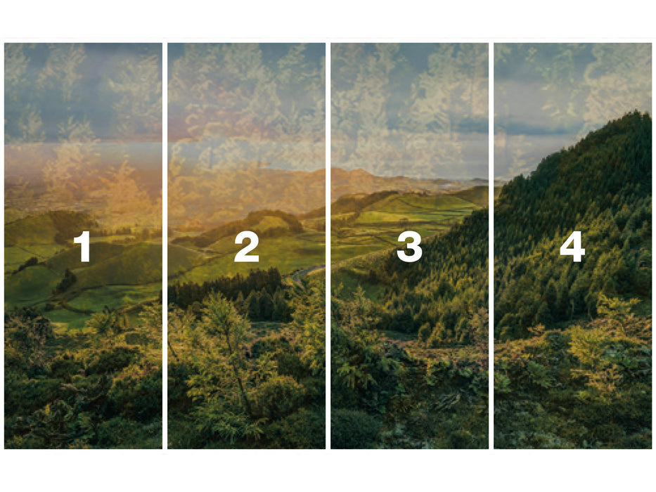 Digitaldruck Vlies Fototapete | Paradise Island | 400 x 250 cm