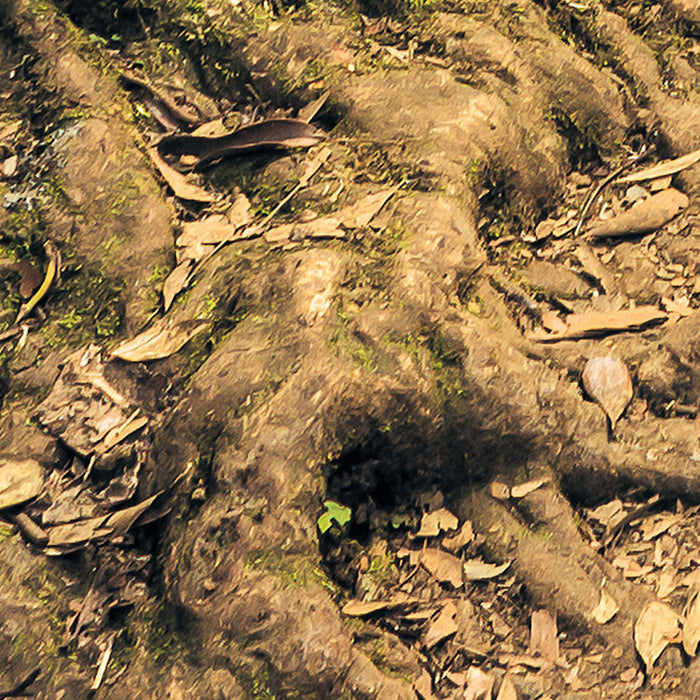 Digitaldruck Vlies Fototapete | Path of Dreams | 400 x 250 cm