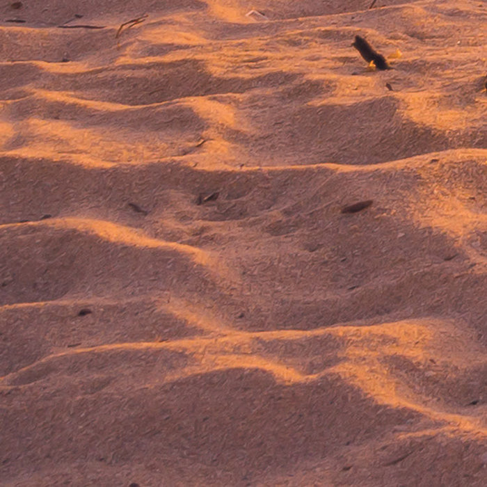 Digitaldruck Vlies Fototapete | Reaching the Sun | 400 x 250 cm