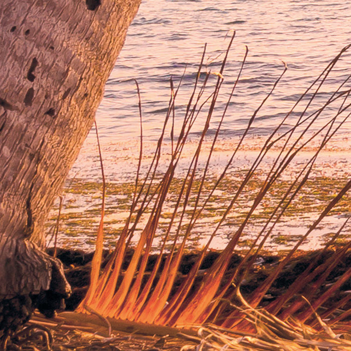 Digitaldruck Vlies Fototapete | Reaching the Sun | 400 x 250 cm