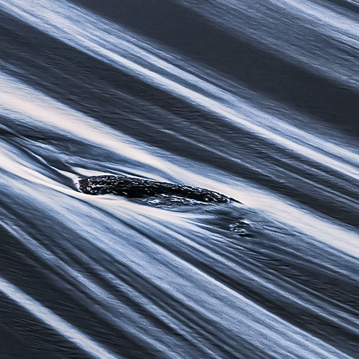 Digitaldruck Vlies Fototapete | Smooth | 400 x 250 cm
