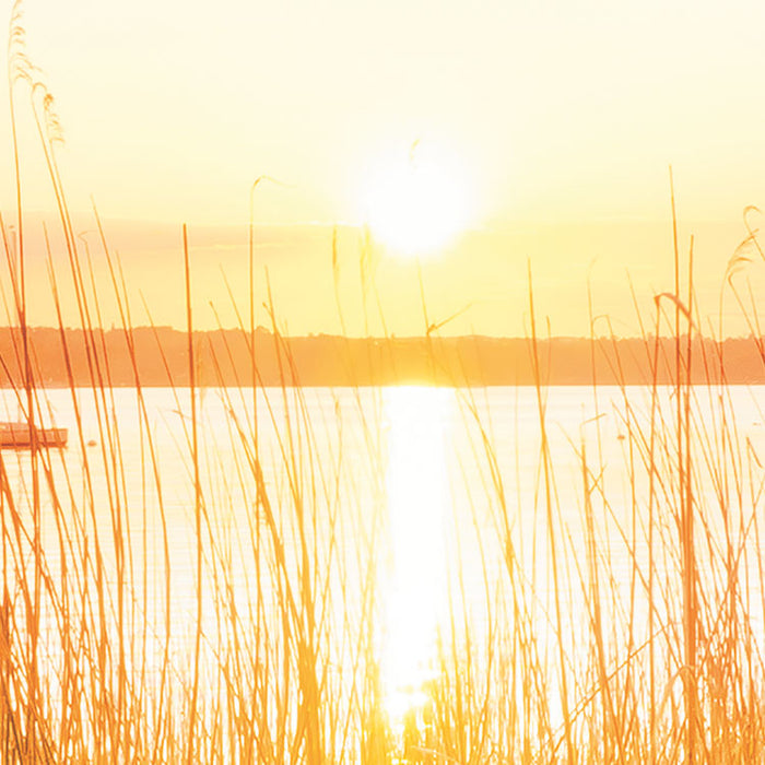 Digitaldruck Vlies Fototapete | Lakeside